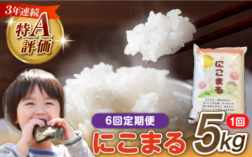 米「6回定期便」 ★ 長崎県産 精米 にこまる 5kg 総計 30kg ★ / 米 こめ コメ 米 こめ コメ 米 コメ 白米 はくまい ご飯 ごはん ライス らいす ギフト 贈り物 贈答 国産 おすすめ 10㎏ 精米 白米 お米 ライス ごはん 米 こめ ご飯 国産 お取り寄せ / 南島原市 / 大松屋商店 [SDR003]