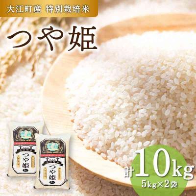 ふるさと納税 大江町 大江町産 つや姫 10kg(5kg×2袋)【山形県産 特別栽培米】 001-085
