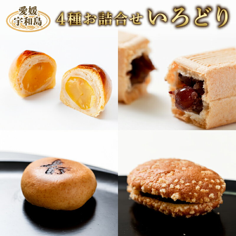 【ふるさと納税】 和菓子 4種 詰合せ セット 「いろどり」 御粽司 百波 最中 モナカ 大番 粒栗 蜜六 セット あんこ anko 小豆 栗 くり 栗饅頭 栗まんじゅう 和菓子 詰め合わせ 菓子 銘菓 名物 数量限定 国産 愛媛 宇和島 J015-163003