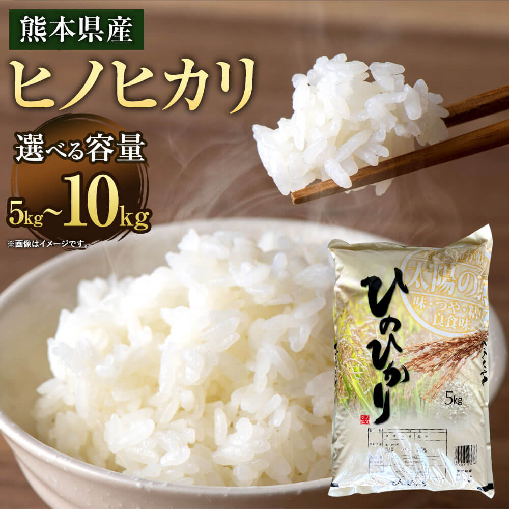 【ふるさと納税】【令和7年産】ヒノヒカリ ＜選べる容量＞ 5kg または 10kg 【2026年9月下旬迄発送予定】 お米 精米 白米 米 ご飯 ごはん ライス 九州産 熊本県産 相良村産 国産 送料無料