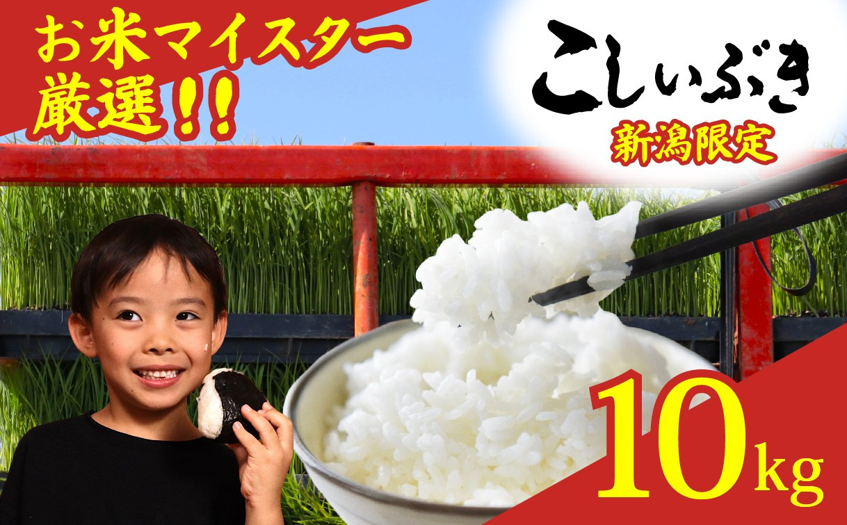 
            【先行予約】 令和7年産 こしいぶき 10kg コシヒカリ こしひかり 遺伝子を引き継ぐ ご飯 備蓄 コメ お米 米 こめ しんまい 新潟産 新潟米 新潟県 新潟 新発田 新発田市 国産 新発田市産 斗伸 toushin039
          