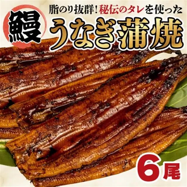 うなぎ 蒲焼き 6尾 約800g うなぎ