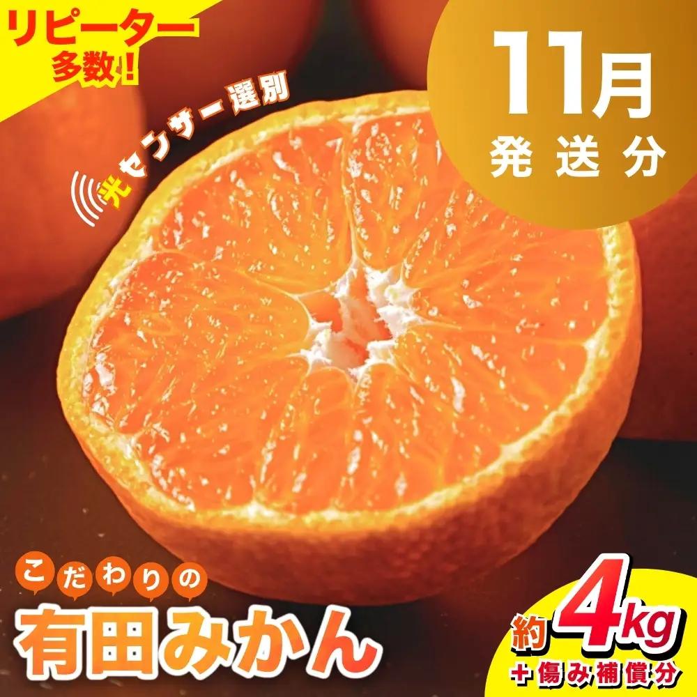 【2026年11月発送予約分】＼光センサー選別／ 【農家直送】【家庭用】こだわりの有田みかん 約4kg＋250g(傷み補償分) 先行予約 有機質肥料100% サイズ混合 【11月発送】ミカン 有田みかん 温州みかん ※北海道・沖縄・離島配送不可 みかん みかん みかん オレンジ【nuk148-11C】