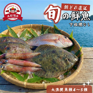 下処理なし 朝獲れ 鮮魚ボックス 大漁便4～5種 鮮魚