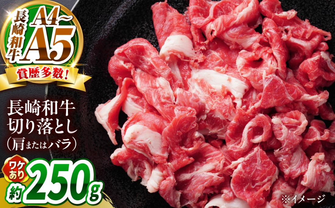 【訳あり】【A4〜A5】長崎和牛切り落とし 250g / 牛肉 ぎゅう肉 和牛 / 南島原市 / 株式会社MEAT PLUS[SHG035]