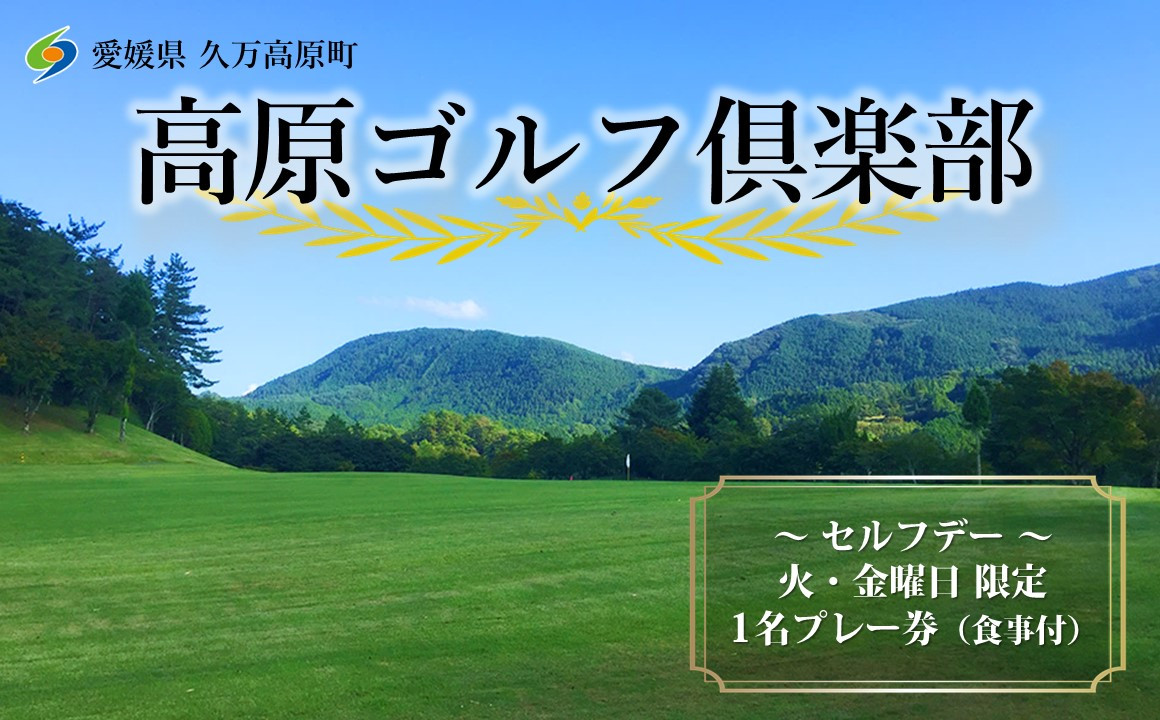 
セルフデー限定プレー券1枚
