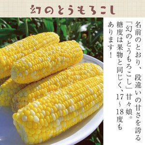 とうもろこし 甘々娘 10本 米 2合 セット 先行予約 とうもろこし 米