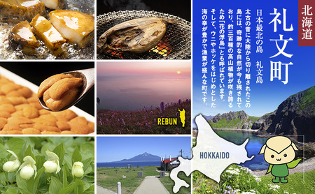 北海道 礼文島産 天然 急速冷凍 生蝦夷あわび 500g (サイズ不揃い)［野崎水産］【 あわび アワビ 鮑 蝦夷あわび 冷凍あわび 刺身 バター焼き 天然 海鮮 ギフト 贈答 】