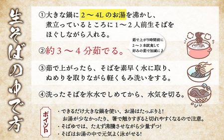 【先行予約】【年越しそば用】今庄生そば 10食セット つゆ付き【2024年12月25日から29日で順次発送予定】