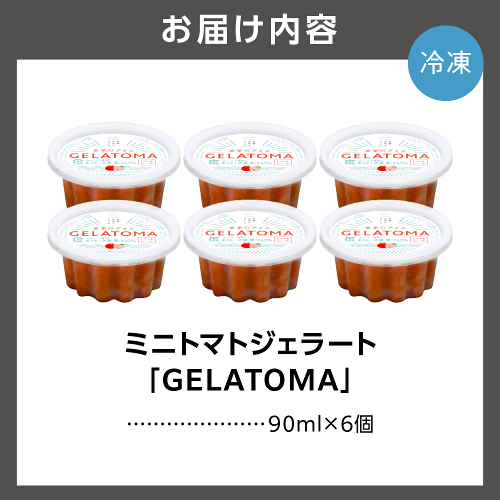 トマト農家が作ったトマトのジェラート「GELATOMA」6個_is029-007-000