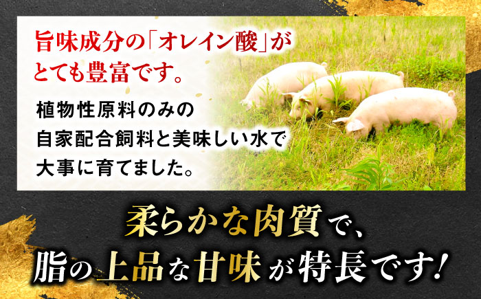 一貴山豚 焼肉用バラ肉 計500g(250g×2p) 糸島市 / いきさん牧場 豚肉 冷凍 [AGB034]