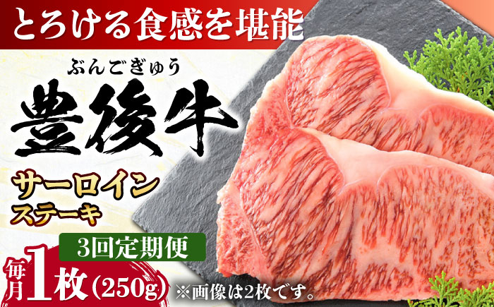 
                  【全3回定期便】おおいた豊後牛 サーロインステーキ 250g (250g×1枚) 日田市 / 株式会社MEAT PLUS牛肉 おおいた豊後牛 おおいた 豊後牛 黒毛和牛 サーロイン サーロインステーキ ステーキ 国産 和牛 [AREI053]
                