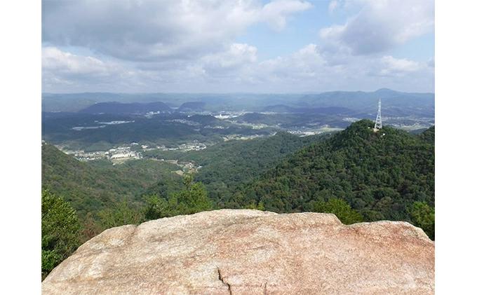 【6か月定期便】≪減農薬≫ 三原の絶景白滝山系の美味しいお米8kg（胚芽米）新米 002029