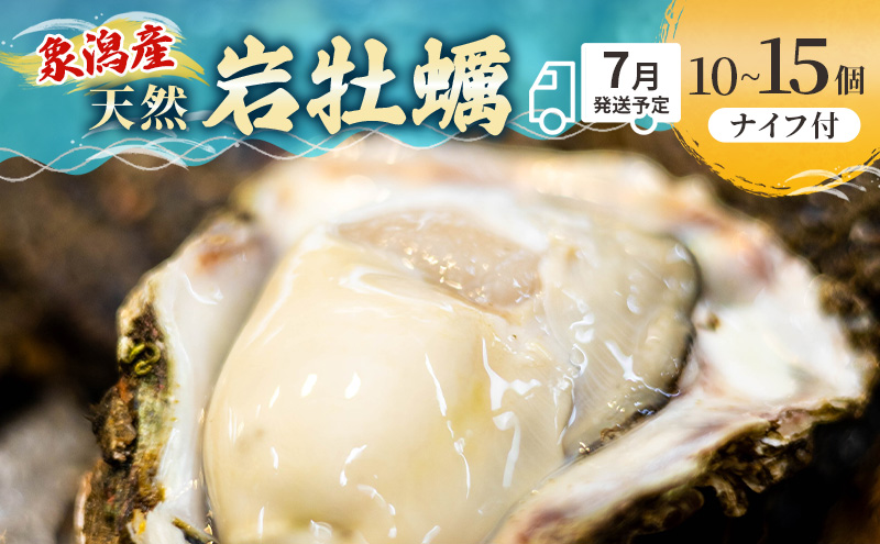 【 先行予約 7月上旬～下旬発送予定】象潟産 天然岩牡蠣 10～12個 ナイフ付【 牡蠣 夏牡蠣 かき 象潟 生食可 魚介類 海鮮 海産物 海の幸 】 佐藤鮮魚店
