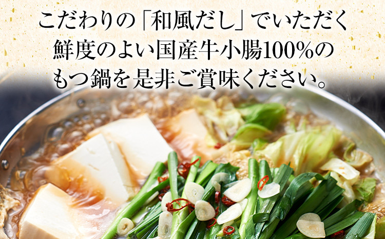 国産 牛 もつ鍋 セット 2～3人前 国産牛 小腸 カット 400g 唐辛子 和風だし 鍋 家飲み 冷凍 化粧箱 送料無料