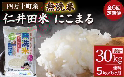 【6ヵ月便】罪悪感は必要ナシ！賢い選択「四万十町産 無洗米」5kg Sbos-B02 米 にいだまい 米 おこめ 精米 特別栽培米 受賞 おいしい おすすめ 人気 6回　高知県産 5キロ