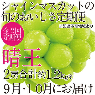 【ふるさと納税】ぶどう 2025年 先行予約 9月・10月発送 シャイン マスカット 晴王 2房（合計約1.2kg） ブドウ 葡萄 岡山県産 国産 フルーツ 果物 ギフト 　お届け：2026年9月上旬～2026年10月下旬