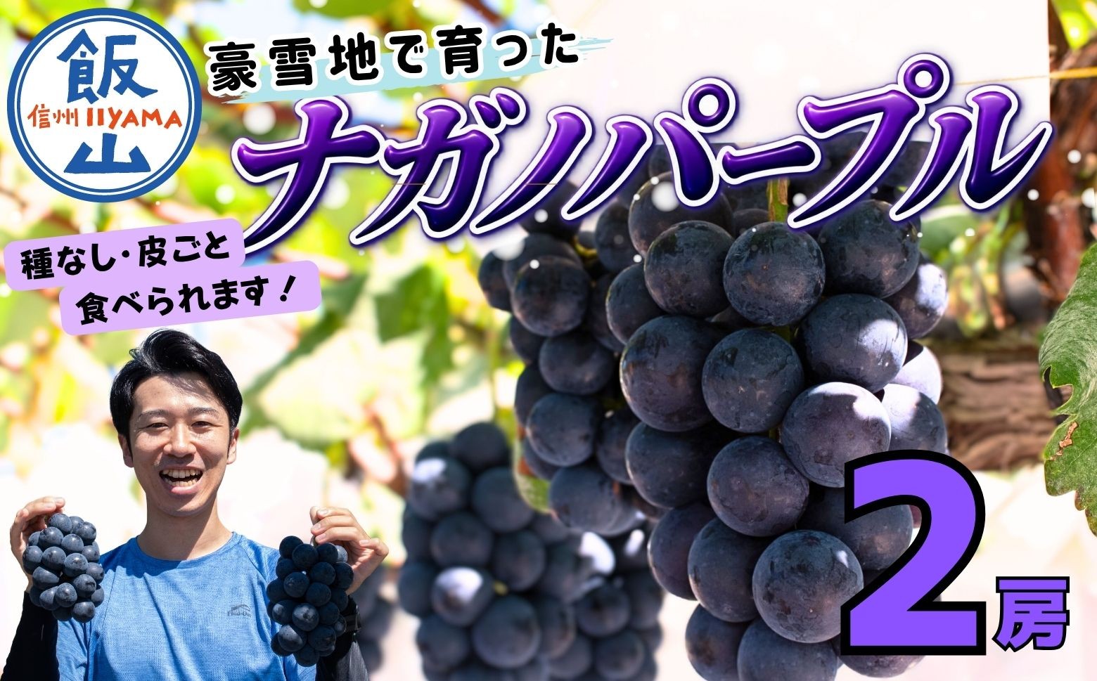 
                  【先行予約】 ナガノパープル 2房  （約1kg） 《 2026年10月〜発送 》 （Bv-001） | 長野県 飯山市 おすすめ ランキング おいしい 高評価 大人気 ギフト 産地直送 ぶどう ブドウ 葡萄
                