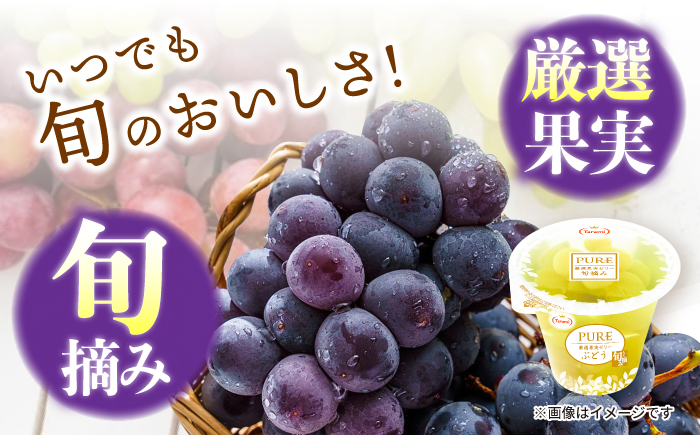 たらみ PURE ぶどう 6個 / ゼリー フルーツゼリー 果実ゼリー 果物 フルーツ くだもの / 諫早市 / 株式会社たらみ [AHBR005]