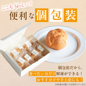 自然栽培 米粉のシュークリーム プレーン6個セット 〔Dw081〕