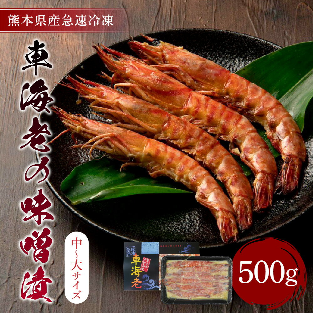 【ふるさと納税】 車海老 味噌漬 合計500g (中〜大サイズ) 250g×2袋 海老 えび エビ 魚介 魚介類 味噌 加工品 急速冷凍 冷凍 熊本県産 九州 送料無料