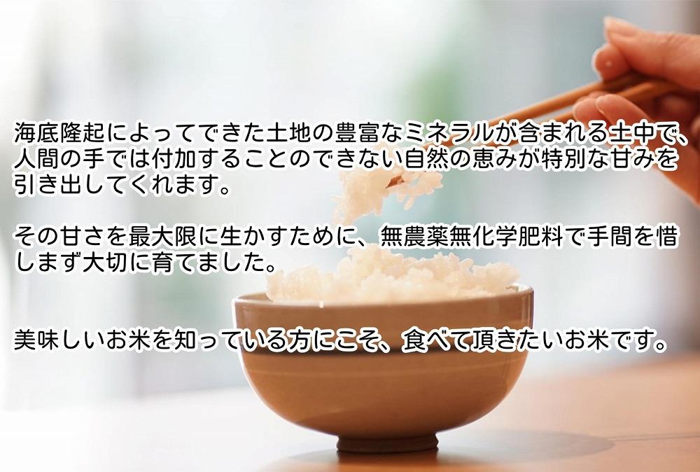 【新米】令和６年産　南魚沼塩沢産JAS有機栽培米「さとみ」白米５kg