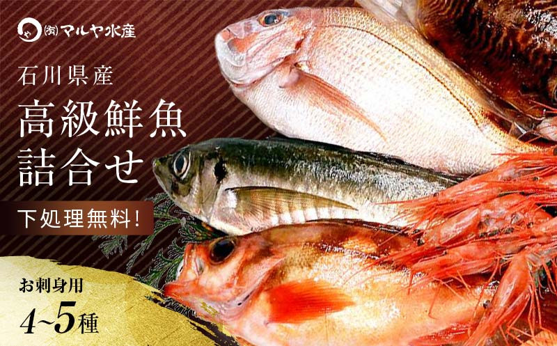 
石川県・加賀市 旬の鮮魚 ( 刺身用/下処理済 ) 詰合せ 4～5種
