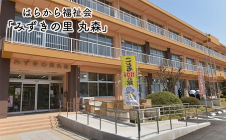 プロテインバー ストロベリー味（2本入り×12袋）【18121】