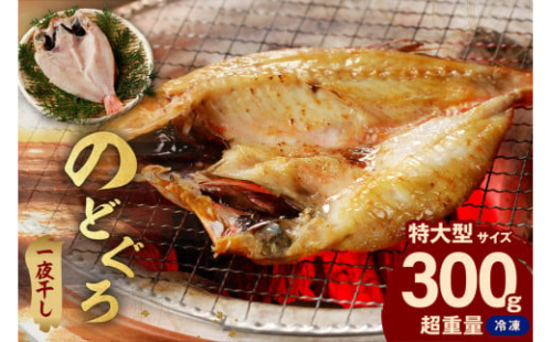 のどぐろ一夜干し個包装１枚　「超希少サイズ・特大型３００ｇ超重量」＜10月以降順次発送＞産地直送 干物 魚 一夜干し 人気 大きい 天然 ボリューム ノドグロ 【005_1929】