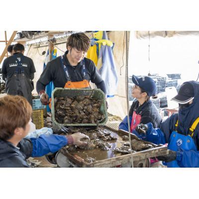 ふるさと納税 長崎市 8.0-8.5mmフォーマル　アコヤ真珠ネックレス |  | 03