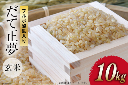 令和7年産 玄米 フルボ酸鉄入り米 だて正夢 10kg [中嶋アグリ未来 宮城県 加美町 na-dm10-gn-r7] ブランド米 ご飯 ごはん コメ こめ 家庭用 宮城
