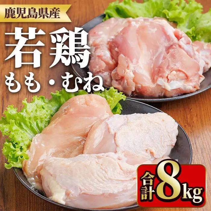 鹿児島県産若鶏もも身・むね身セット(合計8kg・もも、むね) 国産 九州産 鹿児島県産 鶏肉 鳥肉 鶏 とり 若鶏 冷凍 もも むね セット 真空 【TRINITY】_y542