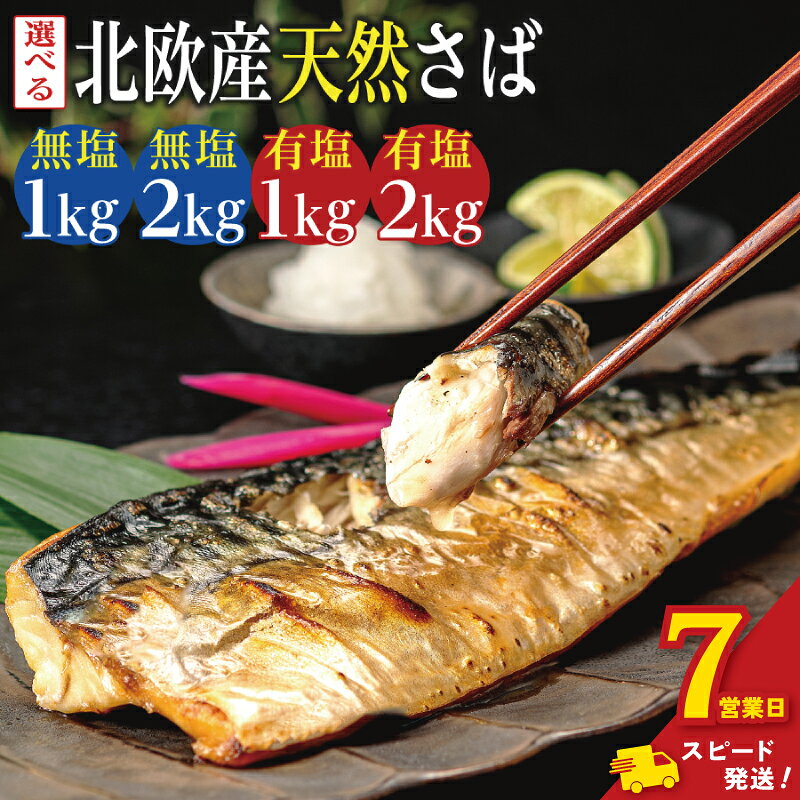 【ふるさと納税】 ＼ スピード発送 ／ 訳あり 骨取り 無塩さば 有塩さば 約1kg・約2kg 鯖 さば 無塩 有塩 骨なし 骨抜き 切身 切り身 冷凍 小分け 大容量 人気 魚 魚介 魚貝 海鮮 お取り寄せ 送料無料 ふるさと納税 ふるさと納税鯖 千葉県 銚子市 飯田商店 iidachoshi
