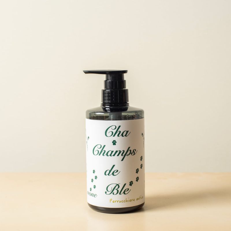 【ふるさと納税】チャシャンドブレシャンプー 500ml アミノ酸系 緑茶由来成分 コンディショニング成分 すっきり ふんわり 軽やか ツヤ なめらか まとまり 岐阜県 海津市
