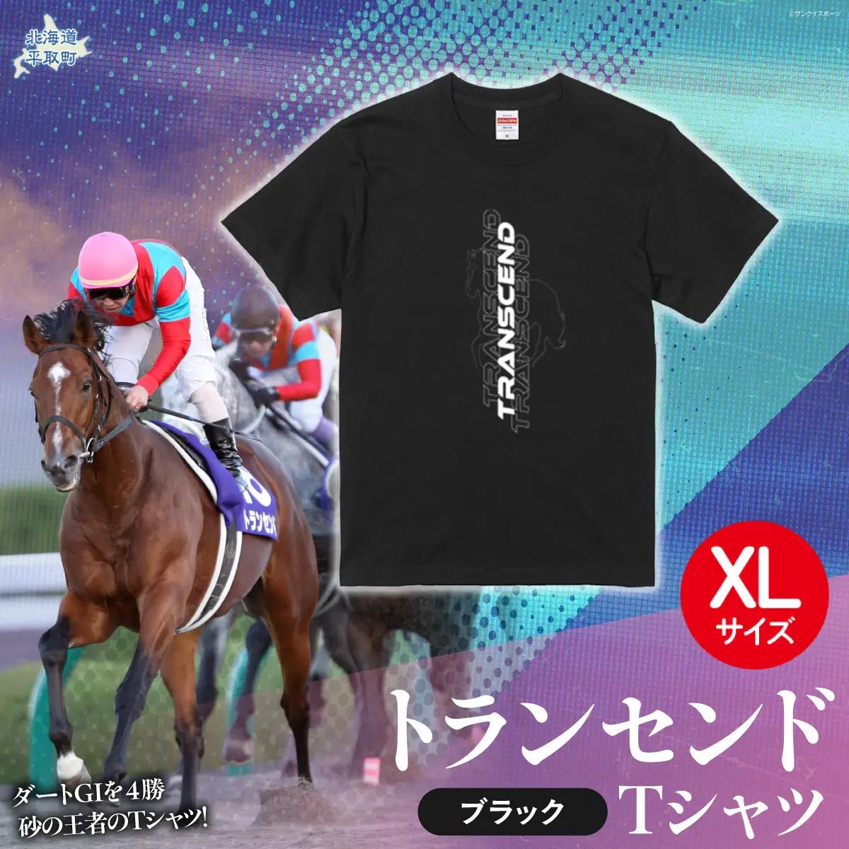 【トランセンド】Ｔシャツ 選べる４サイズ【XL】 BRTV150-4