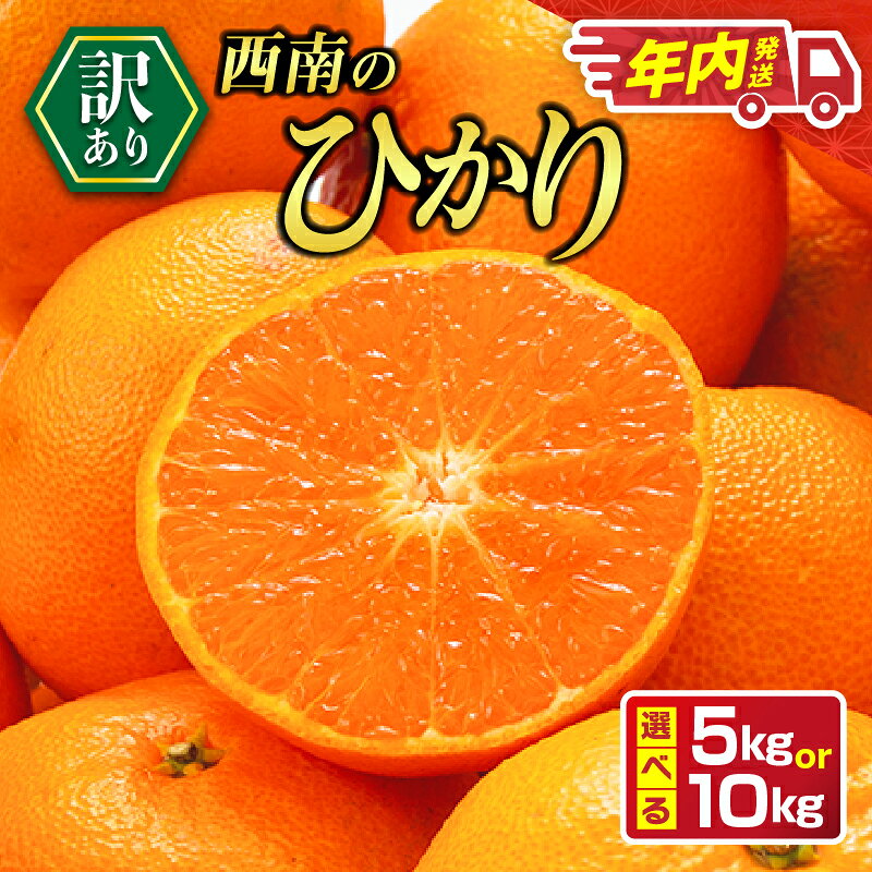 【ふるさと納税】≪内容量が選べる≫ 年内お届け 先行予約 訳あり 西南のひかり 5kg 10kg 希少 2026 12月発送 不揃い フルーツ くだもの 果物みかん 柑橘 蜜柑 オレンジ 国産 食品 デザート おやつ みかんジュース おすそ分け 家庭用 おすすめ 常温 宮崎県 日南市 送料無料