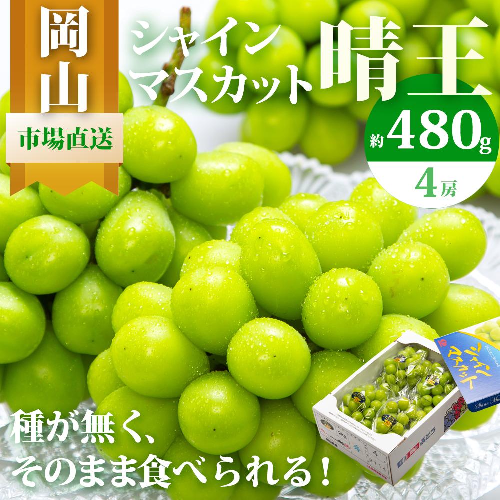 【ふるさと納税】ぶどう 2026年 シャイン マスカット 晴王 4房（1房480g以上）約2kg マスカット ブドウ 葡萄 岡山県産 国産 フルーツ 果物 ギフト | フルーツ 果物 くだもの 食品 人気 おすすめ 送料無料