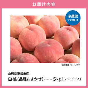 【2026年産】 採れたて白桃(品種お任せ) 約5kg (12～18玉) 山形県 東根市　hi026-056（もも 桃 白桃 フルーツ 果物 くだもの 産地直送 期間限定 特産品 お取り寄せ グルメ 