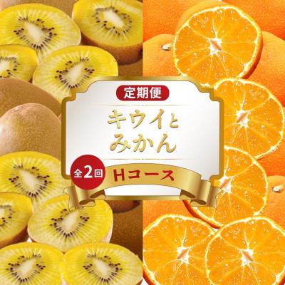 ふるさと納税 丸亀市 【発送月固定定期便】フルーツ定期便 Hコース (小原紅早生みかん ゴールドキウイ)全2回