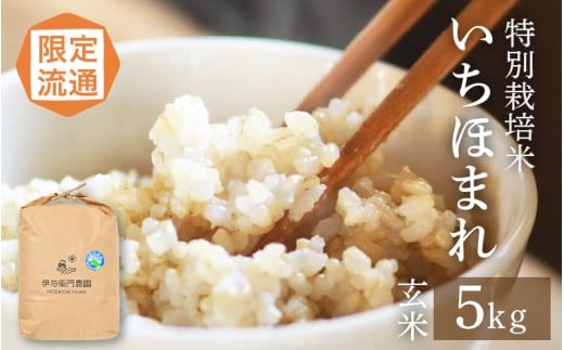 【令和6年産】限定流通 伊与衛門農園 特別栽培いちほまれ玄米 5kg ／ 農薬不使用 高品質 鮮度抜群 福井県 あわら市熊坂産 ブランド米 玄米 [aw071-b003]