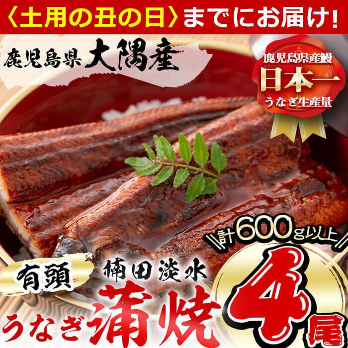 楠田の極うなぎ蒲焼き150g以上×4尾(計600g以上)箸で切れるほどふっくら柔らか！こだわり抜いて育てたウナギは脂の「甘み」が特徴！鰻のかば焼きたれ・山椒付き！【楠田淡水】