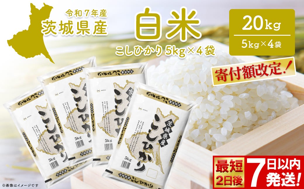 
                  ◎最短2日後発送◎ コシヒカリ 20kg (5kg×4袋) 茨城県産 米 小分け 2025年産 スピード便 コシヒカリ 【令和7年産/白米】 K2704
                