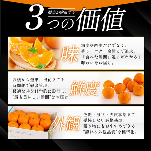 最高級みかん 媛皇 清見 4kg 愛媛県 八幡浜市 西宇和地区 柔らかい果肉【E25-349】【配送不可地域：離島】【1716848】 YWTAP290