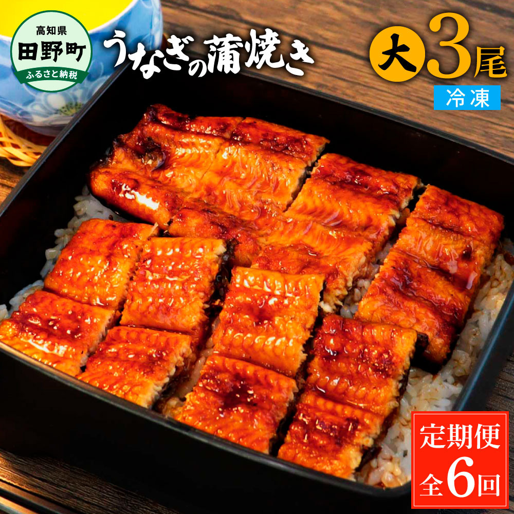 
田野町産うなぎの蒲焼き(大) 3尾×6回 定期便 6ヶ月 定期コース 1尾あたり120～150g タレ付き 山椒付き うなぎ 鰻 ウナギ 蒲焼き かば焼き 無頭 おいしい 国産 お取り寄せ 冷凍 配送
