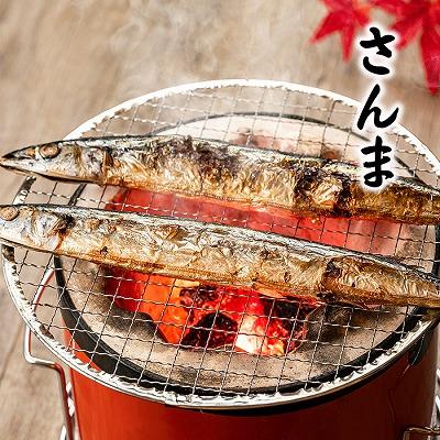 ふるさと納税 根室市 ＜12/17まで年内配送＞★さんま明太2尾・糠さんま3尾・冷凍生さんま4尾各5P B-32050 |  | 01