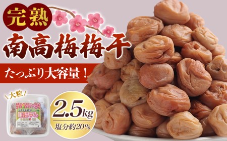 ＼たっぷり2.5kg／ 紀州南高梅 昔ながらの完熟南高梅使用梅干し 1.25kg×2パック / 梅 梅干し 梅干 訳あり わけあり ワケアリ 昔ながら 無添加 塩分濃度約20％ 無添加人気 大容量 大