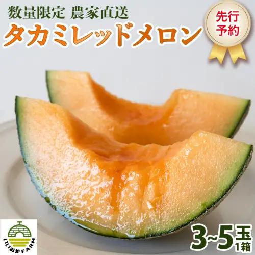 【先行受付】メロン タカミレッドメロン 1箱 3玉～5玉  2027年発送