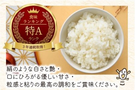 【令和5年産】 定期便 ≪6ヶ月連続お届け≫ 福井県のブランド米 いちほまれ 無洗米 10kg × 6回 計60kg 【 無洗米 人気 品種 ブランド米 特A 】 [K-6155]