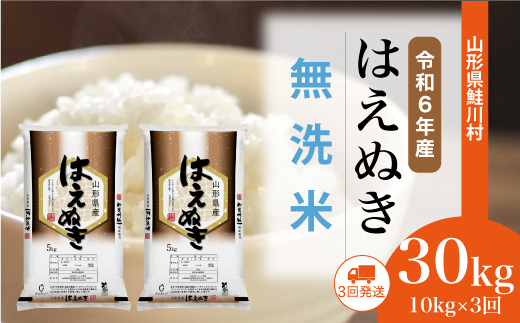 ＜令和6年産米＞ 山形県産 はえぬき 【無洗米】30kg定期便 (10kg×3回)　配送時期指定できます！