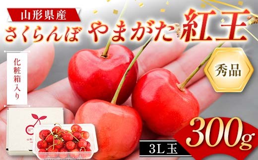 
                  さくらんぼ やまがた紅王 300g 3L玉サイズ 大粒 バラ詰め 秀品 山形県産 化粧箱入り 【2027年先行予約】 FSY-2267
                